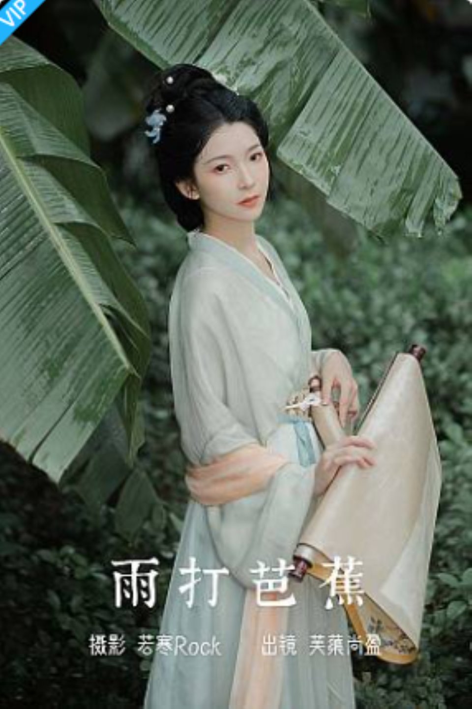 [YITUYU艺图语]2023.07.07 雨打芭蕉 芙蕖尚盈