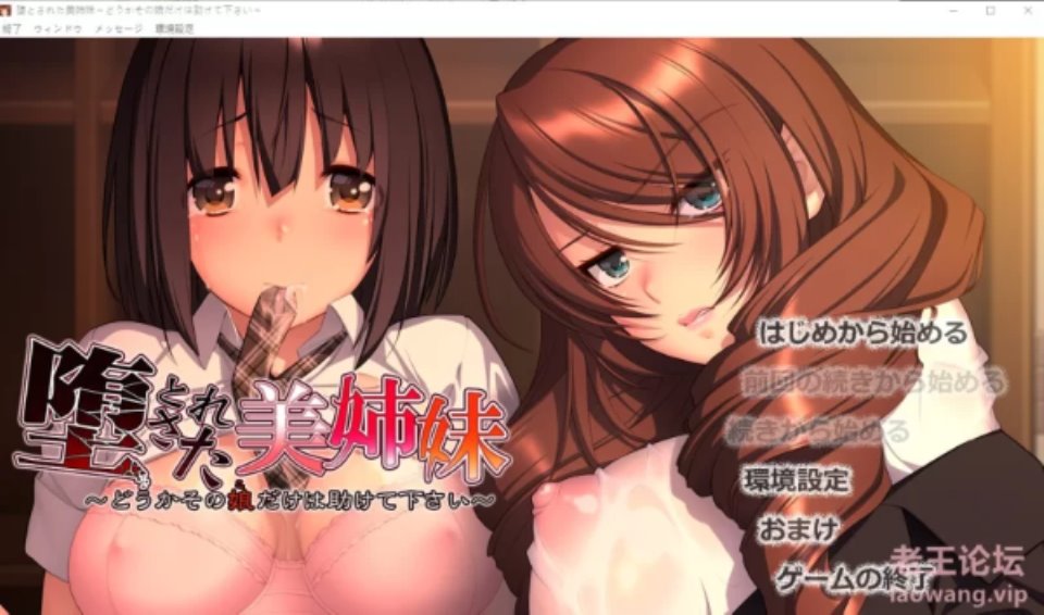 [ADV] [自行打包] 【PC-ADV-镜像版-GPT汉化】堕とされた美姉妹 ～どうかその_. [2+1.52G][百度盘]