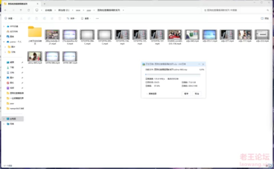 [各种玩法] [自行打包] 在医院检查被玩弄调教 [16v+75.8g][百度盘]